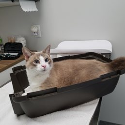 Blinky in the examination room Blinky in the examination room