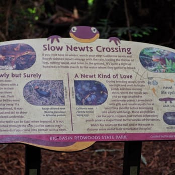 Alder Trail Camps - (May 2014) - Hiking Near Me - Davenport, California