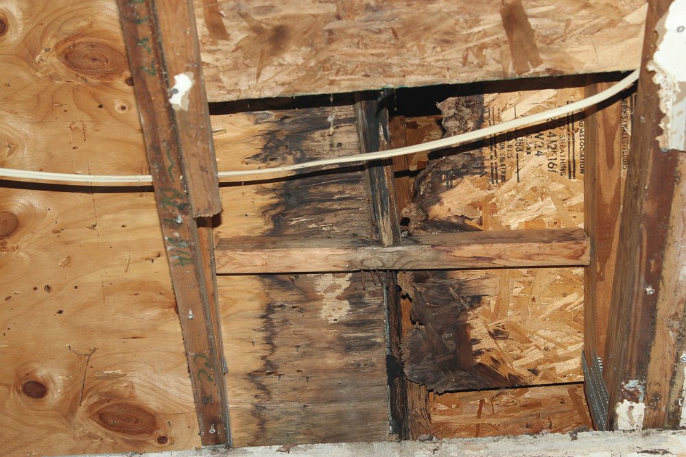 Slide of Bay to Bay Roofing