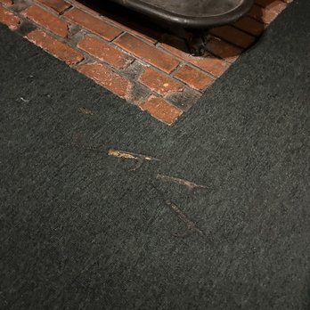 Bluebird Cottage Inn - Torn carpet - Hotels Near Me - Idyllwild, California Bluebird Cottage Inn - Torn carpet - Hotels Near Me - Idyllwild, California