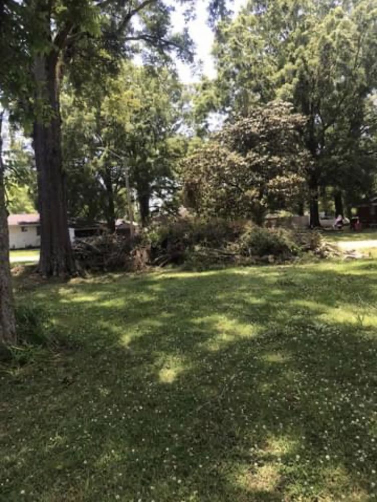 Central ms tree service and lawn care - tree service in Magee, MS