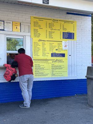 Mr Wizard's Frozen Custard and Yogurt by null