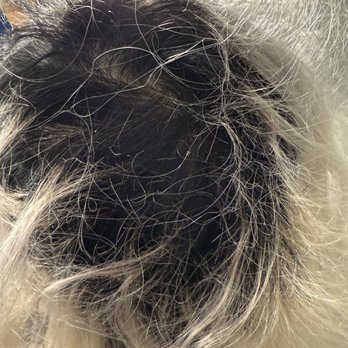 Eclipse Salon - After 2 months from the salon - Hair Salons Near Me - San Francisco, California