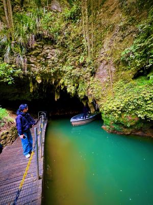 Waitomo Glowworm Caves by null