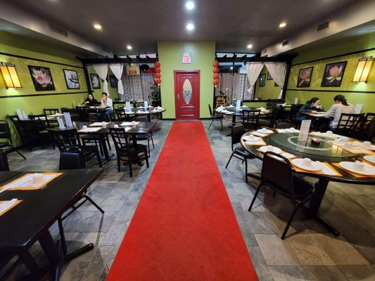 Lotus Garden by null