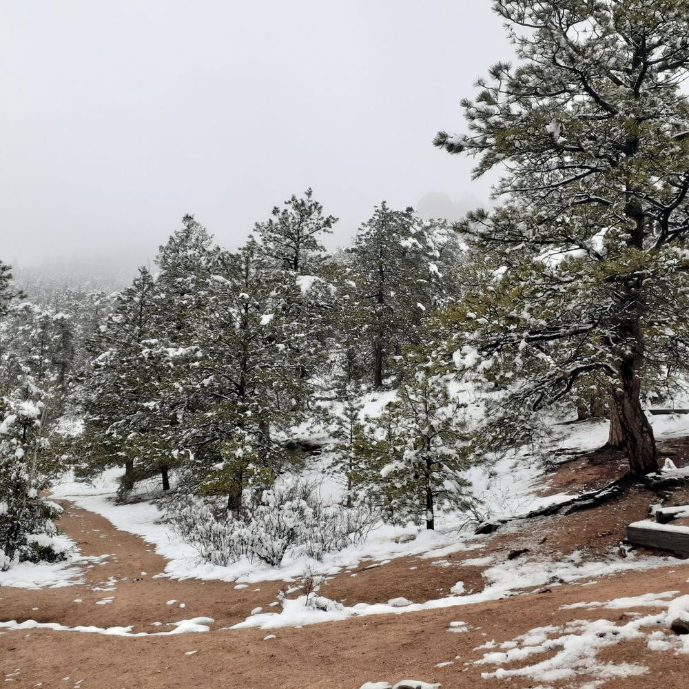 Manitou Incline - Hiking Near Me