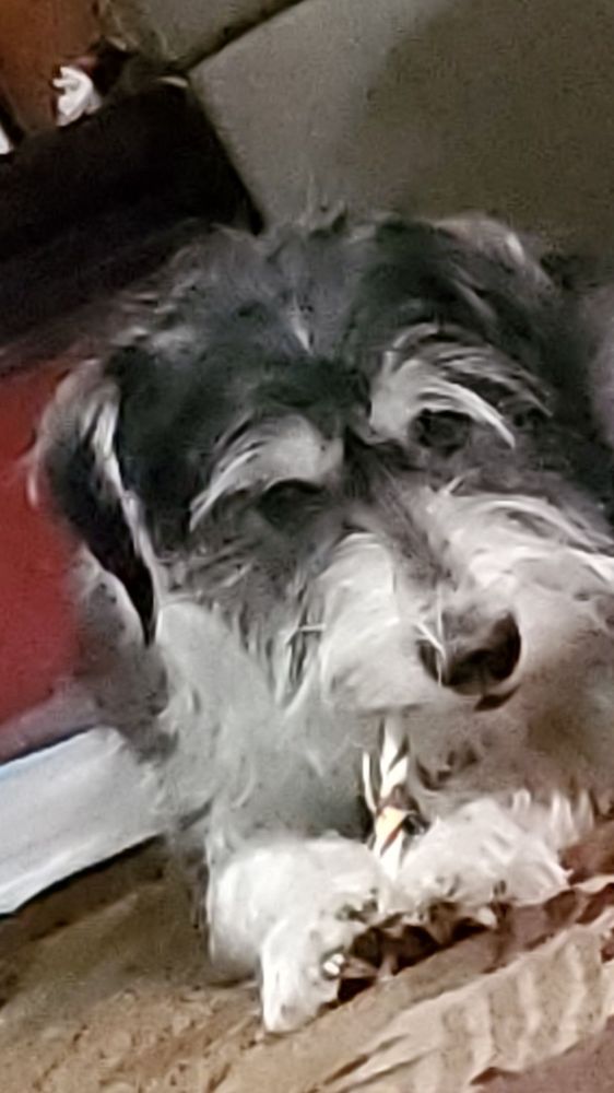 COLUMBUS SMALL ANIMAL HOSPITAL Updated August 2024 15 Photos 2278