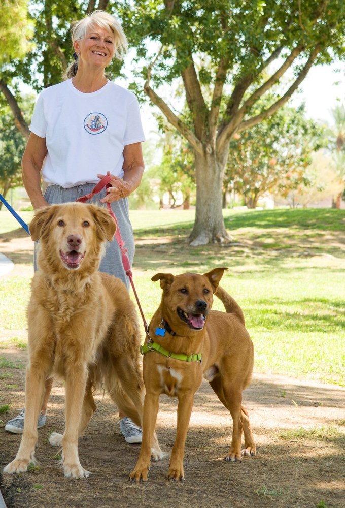 THE PAWSITIVE PETS SITTER Updated October 2024 Request a Quote 11