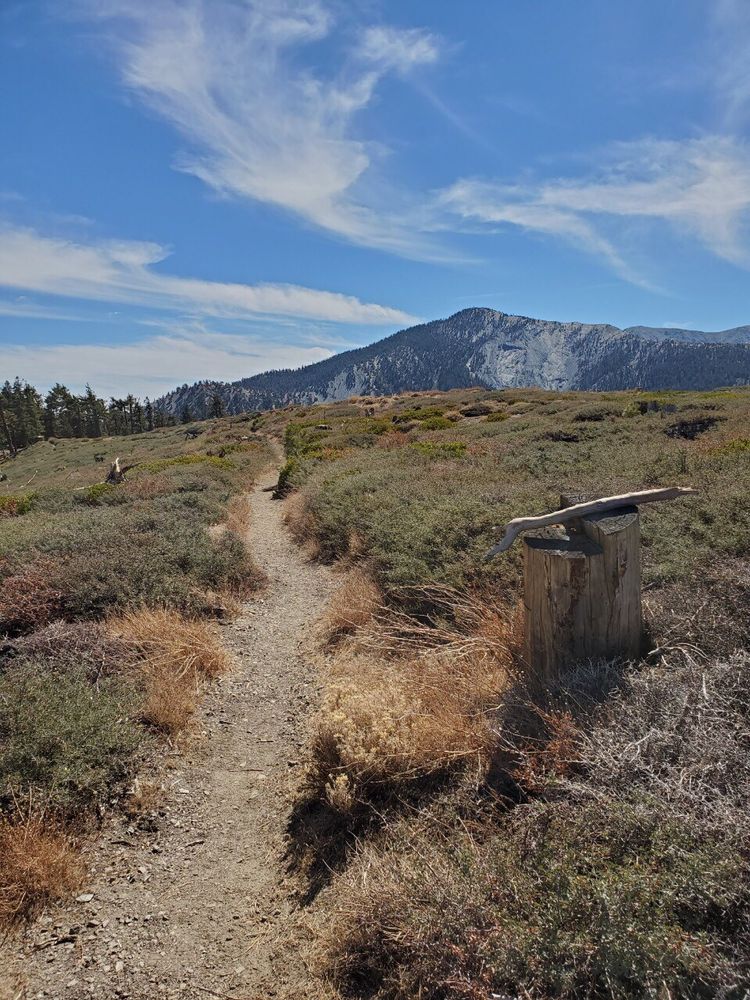 BLUE RIDGE CAMPGROUND Updated September 2024 15 Photos Blue Ridge
