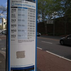 Sydney Buses