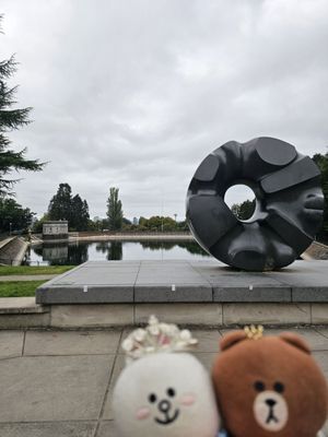 Volunteer Park by null