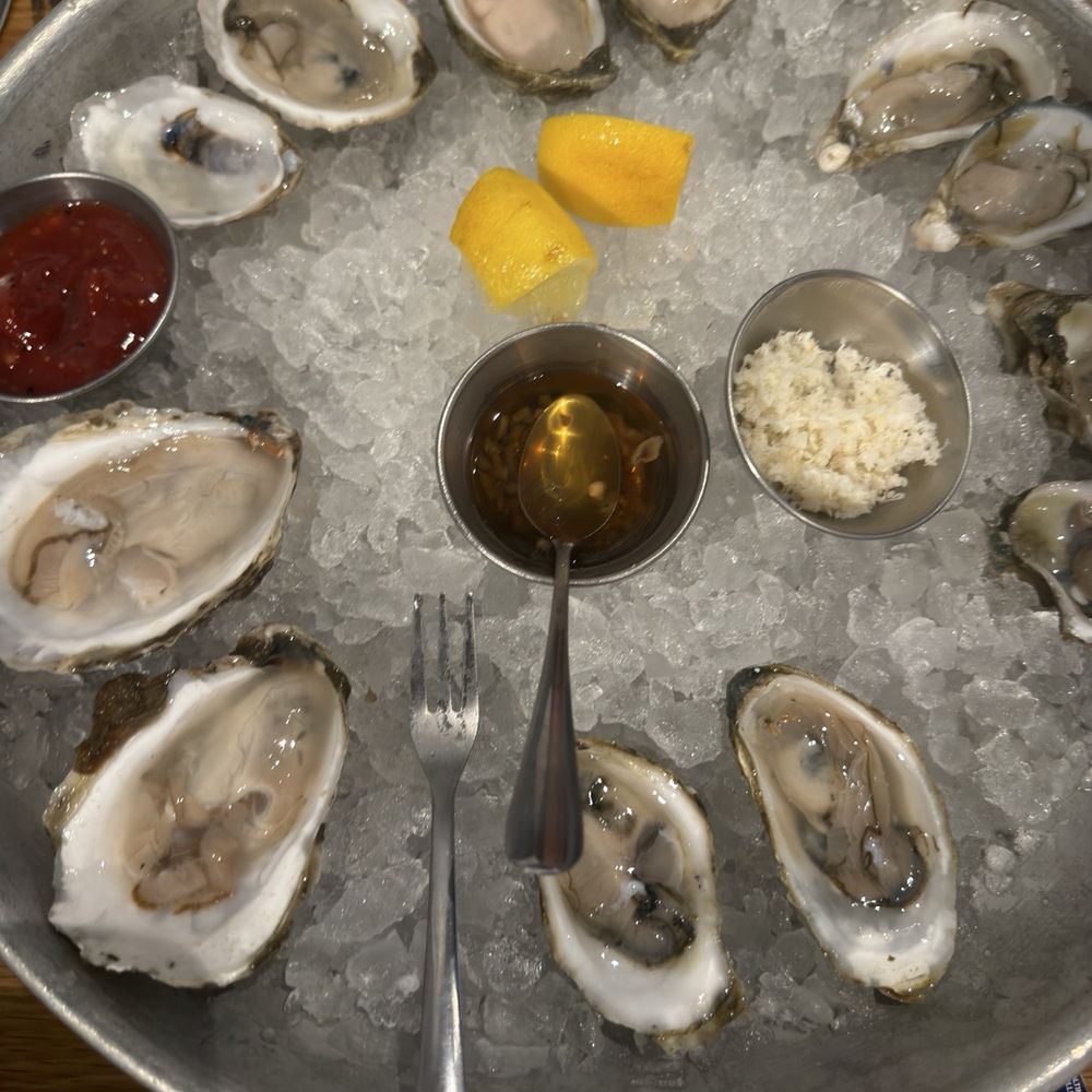 Oysters