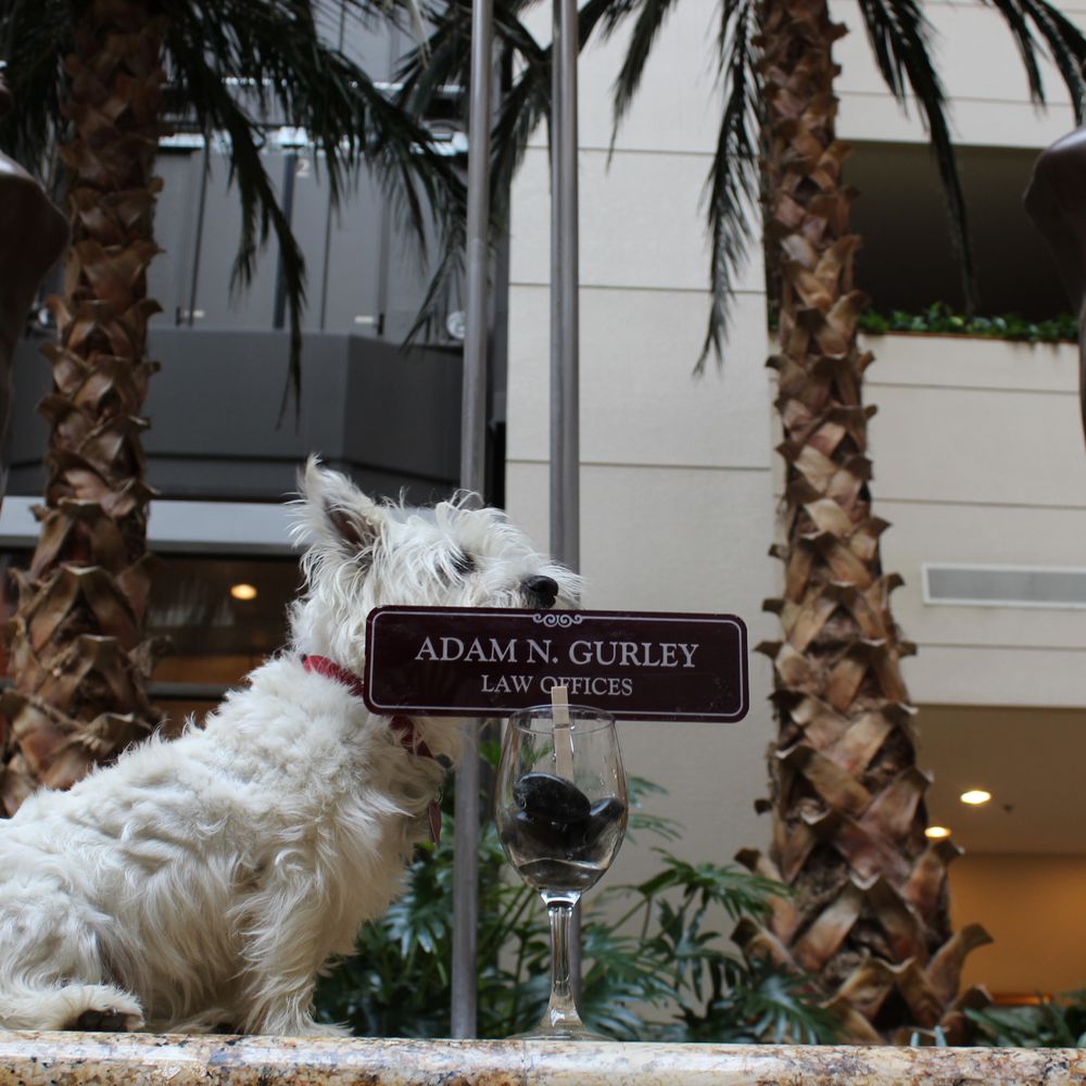 TOP 10 BEST Free Consultation Divorce Lawyers in San Francisco, CA -  Updated 2026 - Yelp