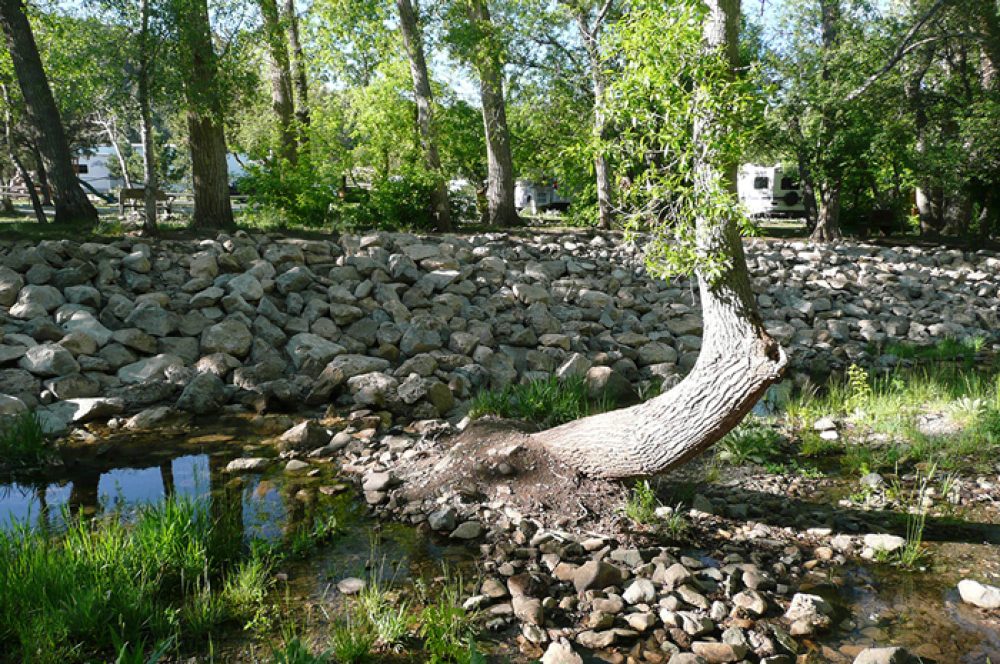 ALONG THE RIVER RV PARK Updated June 2024 127 State Hwy 37, Capitan