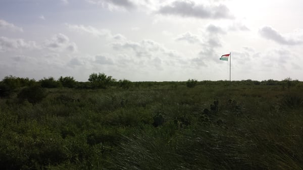 Palo Alto Battlefield National Historical Park by null