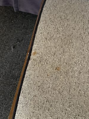 Loews Vanderbilt Plaza by null