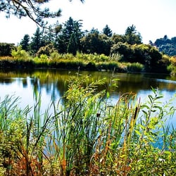 Midpeninsula Regional Open Space District