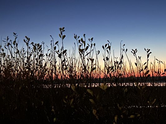 Hallmark Resort Newport by null