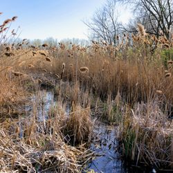Oakhurst Forest Preserve
