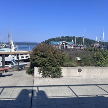 Riptide Cafe - My view from my outside seating area - Cafes Near Me - Friday Harbor, Washington Riptide Cafe - My view from my outside seating area - Cafes Near Me - Friday Harbor, Washington