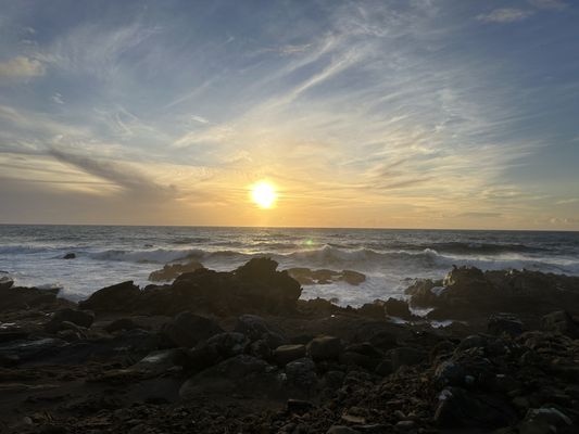 Salt Point State Park by null