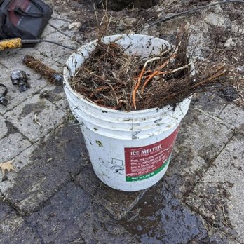 TCG Drains - Drain Cleaning Root Removal - Hydro-jetting Near Me - Fenton, Michigan TCG Drains - Drain Cleaning Root Removal - Hydro-jetting Near Me - Fenton, Michigan