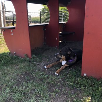 Mill Creek Dog Park - Parks Near Me - Secaucus, New Jersey Mill Creek Dog Park - Parks Near Me - Secaucus, New Jersey