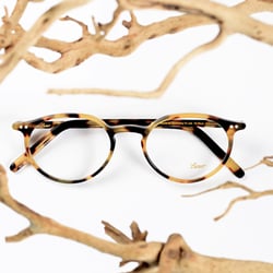 Visual Eyes Optical