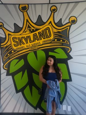Skyland Ale Works by null