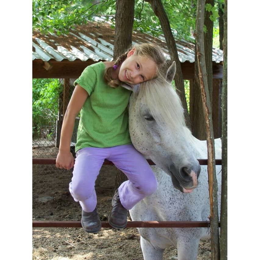 North Gate Farm - equestrian in Bolton, MA