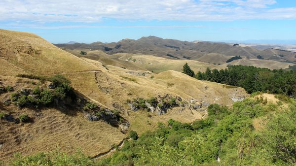 Te Mata Peak by null