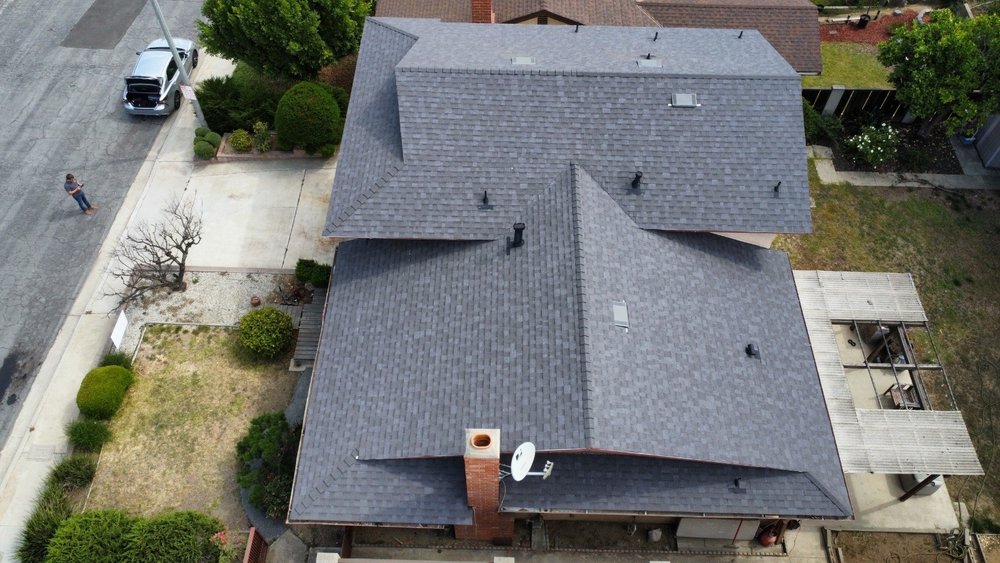 Slide of DNA Roofing