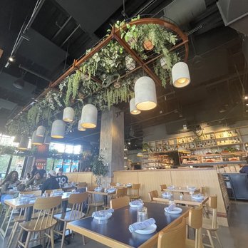 Andros Taverna - Ambiance - Greek Near Me - Chicago, Illinois