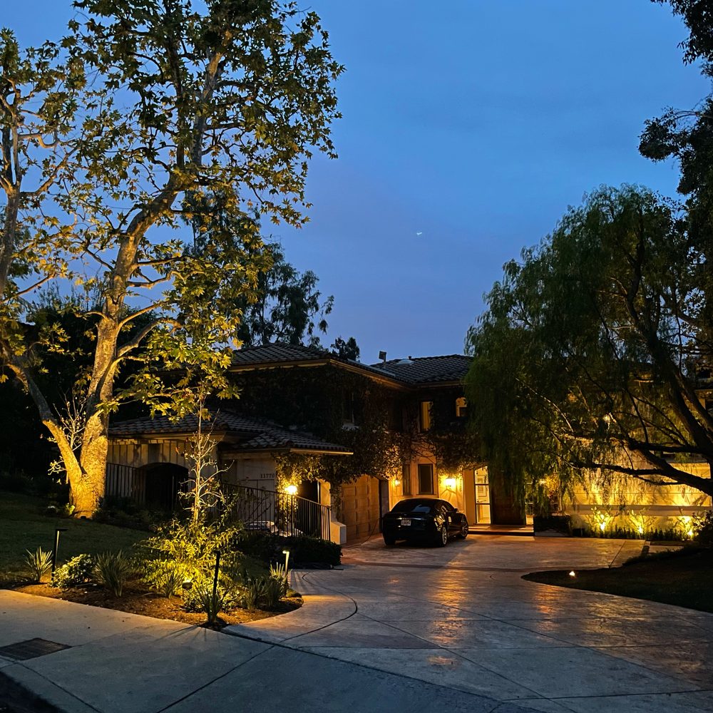 Tree Doctor - tree service in Los Angeles, CA