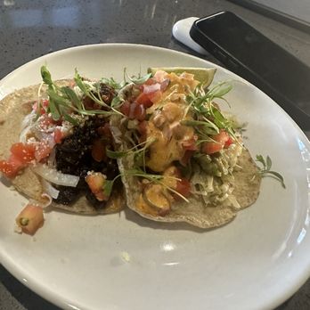Paloma - Mexican Near Me - Shaker Heights, Ohio