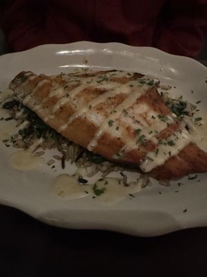 Willet's Corner by null