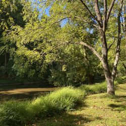 Harford County 4-H Camp And Deer Creek Overlook - On the banks of Deer Creek