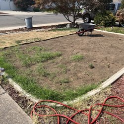 Cut N Go Lawn Care & Handyman Service - The only thing that was growing in was the type of weed that some people mistake is grass. You can see the quality of sod he used.