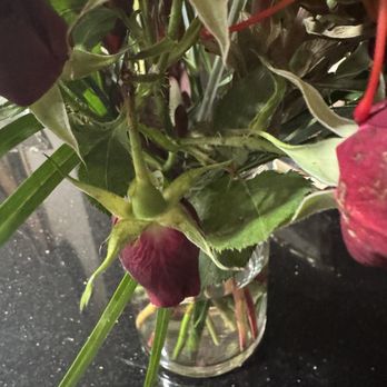 UrbanStems - Exactly how they came in - Florists Near Me UrbanStems - Exactly how they came in - Florists Near Me