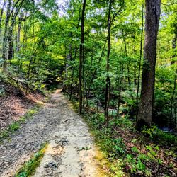O'Neil Woods Metro Park - Trail