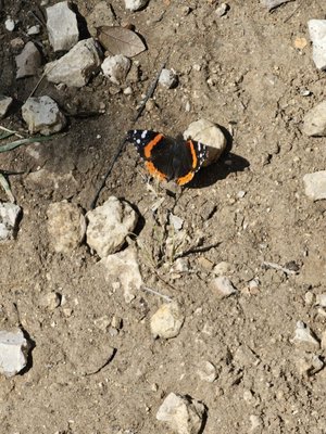 Colorado Bend State Park by null