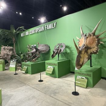Indiana Dinosaur Museum - Children's Museums Near Me - South Bend, Indiana