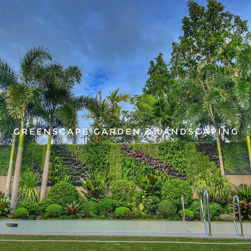 Bonsai Garden Up Diliman Contact Number Fasci Garden