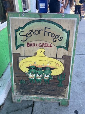 Frog Ina Bar SENOR FROGS - 20 Photos & 53 Reviews - 112 E Woodin Ave, Chelan ...
