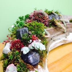 Mercer Island Florist - Outdoor succulents