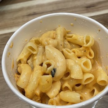 The Kroft - Mac And Cheese with a Big Fly!!! - Sandwiches Near Me - Anaheim, California