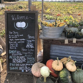 The Pumpkin Patch - This is their check out stand! Some succulent pumpkins to buy too! - Pumpkin Patches Near Me - San Luis Obispo, California