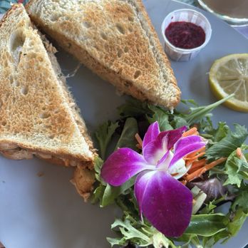 Bulegreen Cafe Yard - Tuna melt was ok - Cafes Near Me - Oakland Park, Florida Bulegreen Cafe Yard - Tuna melt was ok - Cafes Near Me - Oakland Park, Florida