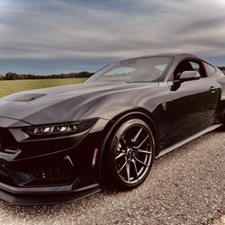 Moyer Ford - 24 Dark Horse