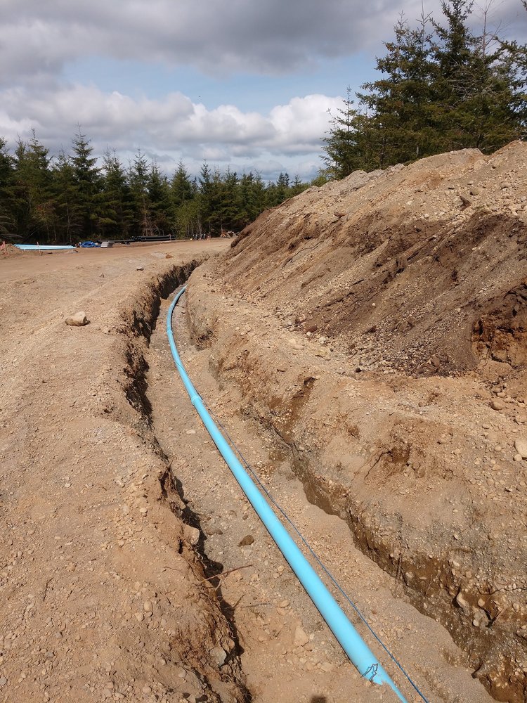 Slide of Butcher and Sons